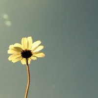 刀马旦雪的头像-AIProductHub产品导航社区