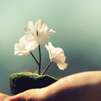 光子脉冲的头像-AIProductHub产品导航社区