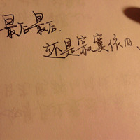 CarnationCove的头像-AIProductHub产品导航社区