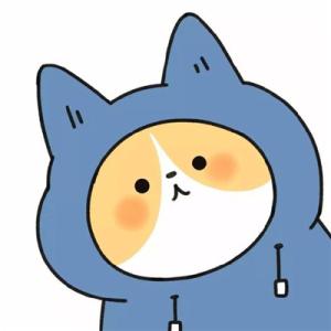 变色龙彩彩的头像-AIProductHub产品导航社区