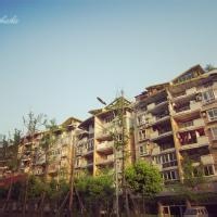 优雅梅花鹿的头像-AIProductHub产品导航社区