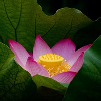 AbyssalRune的头像-AIProductHub产品导航社区