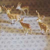 漆黑独行的头像-AIProductHub产品导航社区