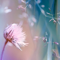 三才聚的头像-AIProductHub产品导航社区