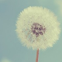 草莓芝士冰沙的头像-AIProductHub产品导航社区