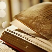 银月之翼的头像-AIProductHub产品导航社区