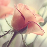 啾咪小奶龙的头像-AIProductHub产品导航社区