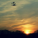 风卷的头像-AIProductHub产品导航社区