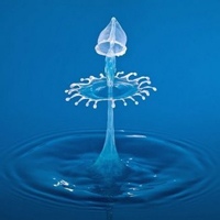 摇摆草的头像-AIProductHub产品导航社区