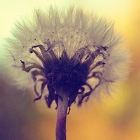 炎帝祝融的头像-AIProductHub产品导航社区