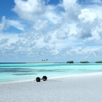 农夫高的头像-AIProductHub产品导航社区