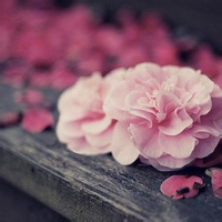 李小花-AIProductHub产品导航社区