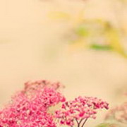 冥火使者的头像-AIProductHub产品导航社区