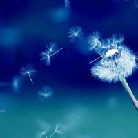 无忧的清风的头像-AIProductHub产品导航社区