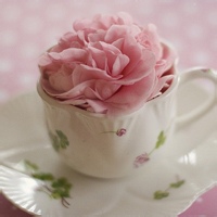 驼队铃响的头像-AIProductHub产品导航社区