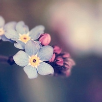 蓼风轩的头像-AIProductHub产品导航社区