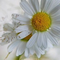 叛逆之神的头像-AIProductHub产品导航社区