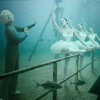 月光流浪者的头像-AIProductHub产品导航社区