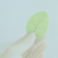 疾风野兔的头像-AIProductHub产品导航社区