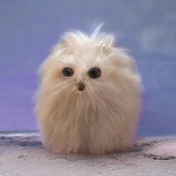 灵异幽客的头像-AIProductHub产品导航社区