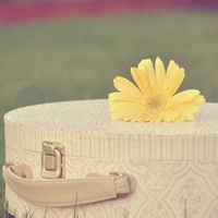 酿酒吴二十九的头像-AIProductHub产品导航社区