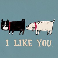 夜影流光的头像-AIProductHub产品导航社区