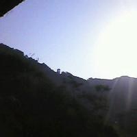 铃兰的娇羞的头像-AIProductHub产品导航社区