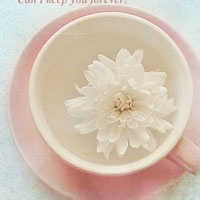 鬼火妖的头像-AIProductHub产品导航社区