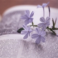 甜糖泡泡的头像-AIProductHub产品导航社区