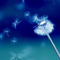 Scribe的头像-AIProductHub产品导航社区