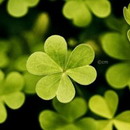 惊梦客的头像-AIProductHub产品导航社区