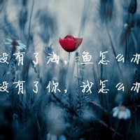 紫霞飞的头像-AIProductHub产品导航社区