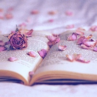 网域征服者的头像-AIProductHub产品导航社区