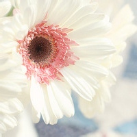 极光编织者的头像-AIProductHub产品导航社区