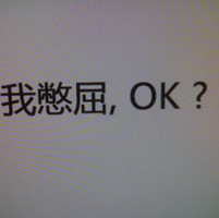 鬼眼迷踪的头像-AIProductHub产品导航社区