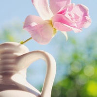 萍始生的头像-AIProductHub产品导航社区