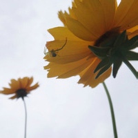 麻了不想动的头像-AIProductHub产品导航社区