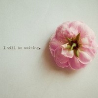 虚像之眼的头像-AIProductHub产品导航社区