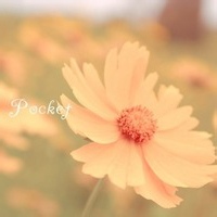 酒保郑的头像-AIProductHub产品导航社区