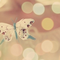 影羽的头像-AIProductHub产品导航社区