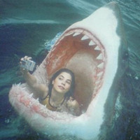 熊猫土豆的头像-AIProductHub产品导航社区