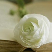 社恐在线求带-AIProductHub产品导航社区