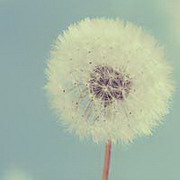 窗边猫语的头像-AIProductHub产品导航社区