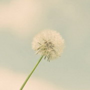 调皮的小猴-AIProductHub产品导航社区