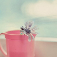 EtherealSage-AIProductHub产品导航社区