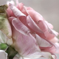 刀客苏的头像-AIProductHub产品导航社区