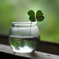 瓷釉彩的头像-AIProductHub产品导航社区