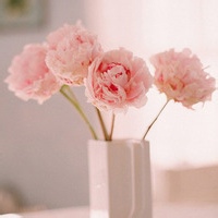 迷雾吟的头像-AIProductHub产品导航社区