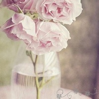 星域探索者的头像-AIProductHub产品导航社区