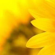 松鼠小宝的头像-AIProductHub产品导航社区